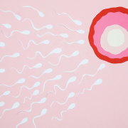 Kríza spermií, alebo, všetko čo potrebujete vedieť o mužskej neplodnosti